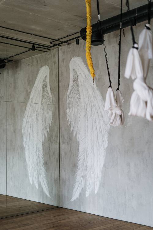 angel-wings